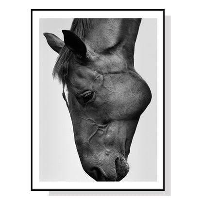 Wall Art 50cmx70cm Modern Black Horse Black Frame Canvas