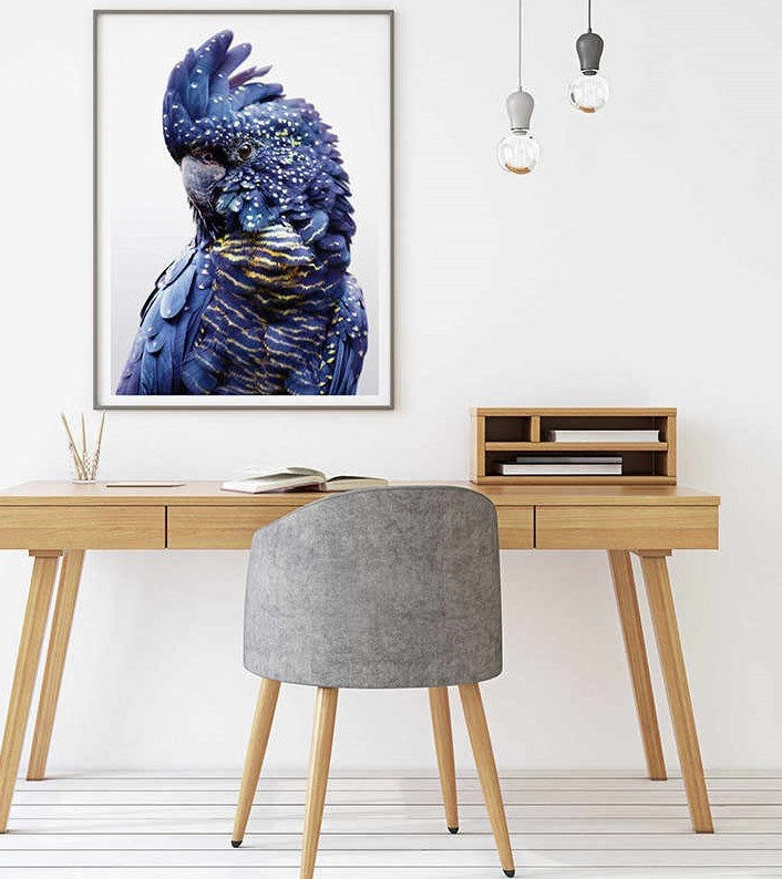 Wall Art 60cmx90cm Black Cockatoo A Black Frame Canvas