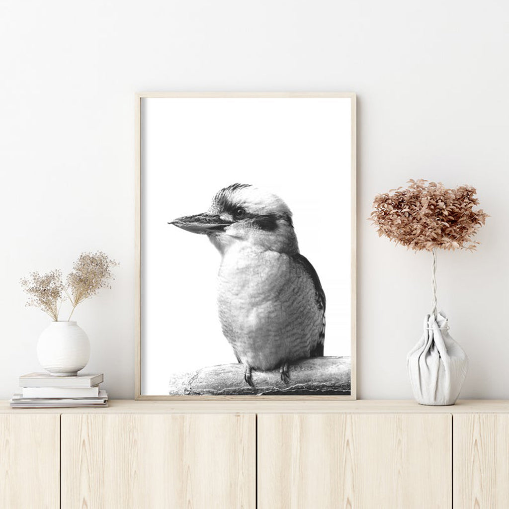 Wall Art 50cmx70cm Kookaburra Black Frame Canvas