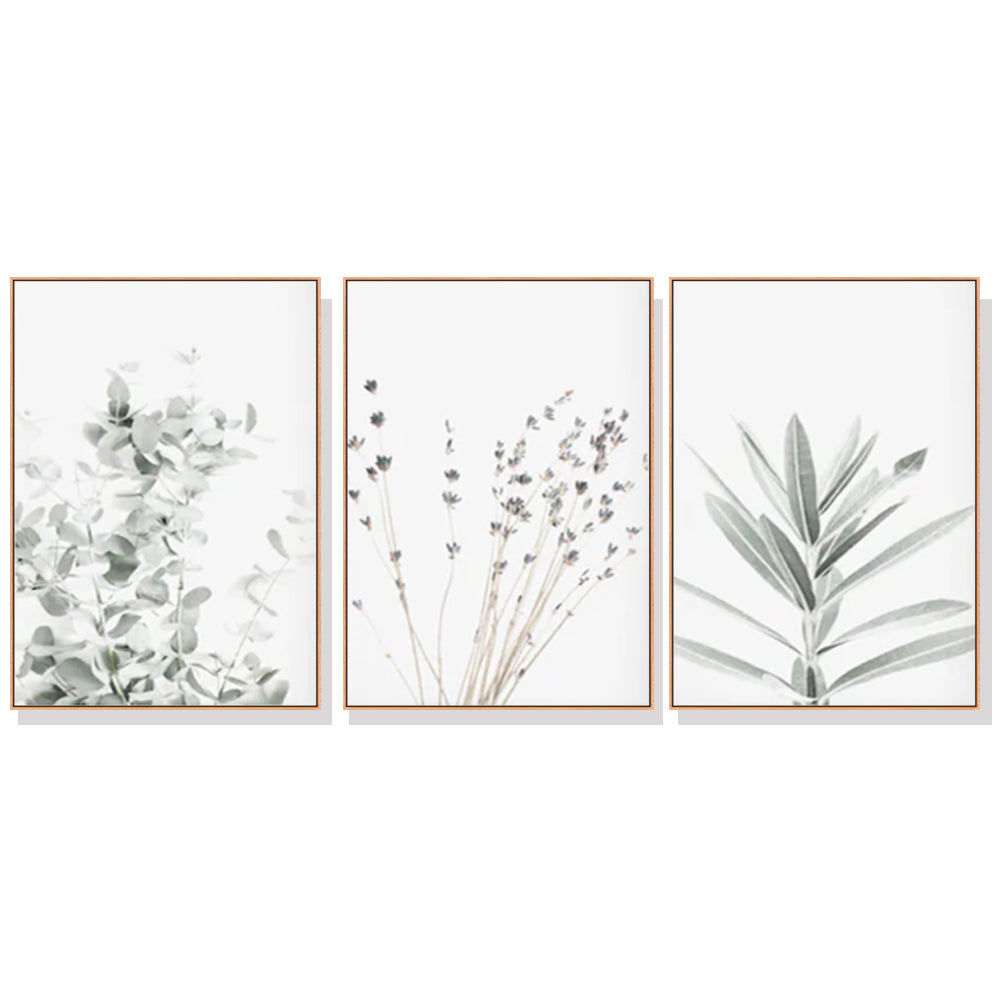 40cmx60cm Lavender Eucalyptus 3 Sets Wood Frame Canvas Wall Art