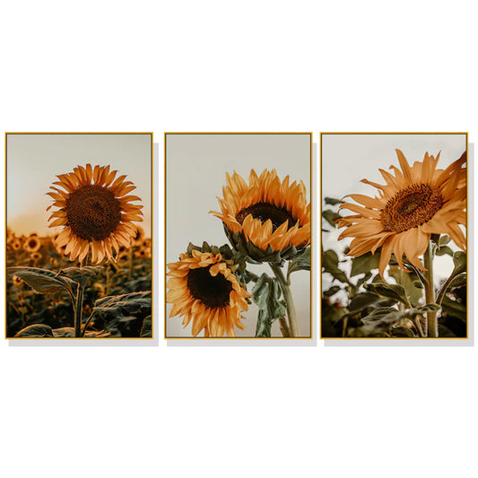 60cmx90cm Sunflower 3 Sets Gold Frame Canvas Wall Art